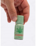 poppers Amnesia Propyl