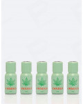 Pack de 5 poppers Amnesia