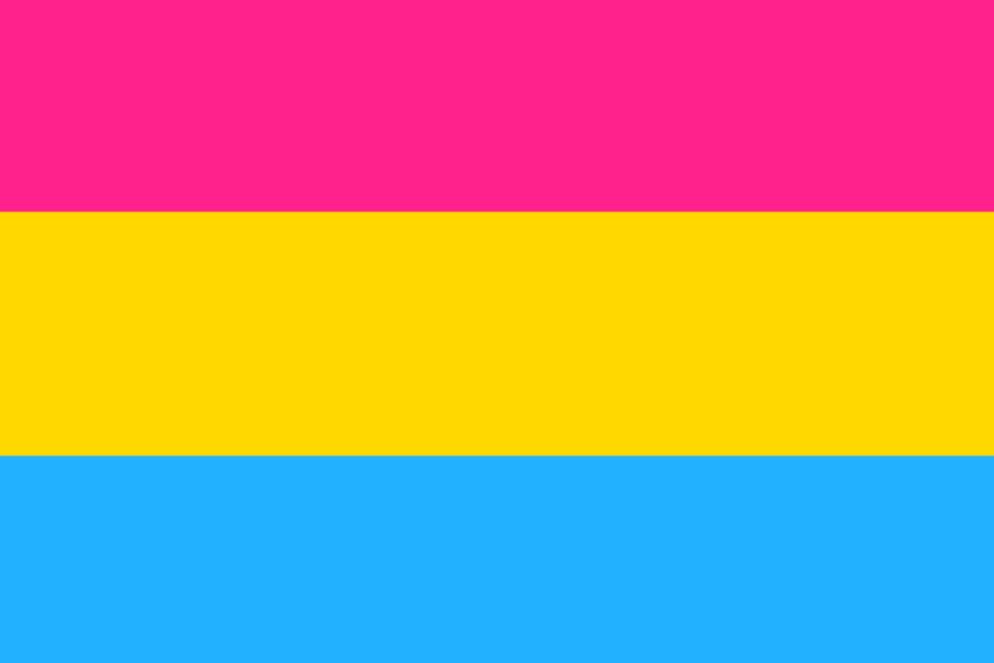 pansexualidad