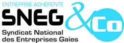 logo SNEG