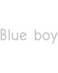 Blue Boy